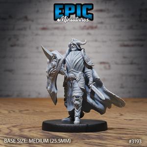 Hunters Guild Drake Knight  / Dragon Hunter / Beast Tamer / Male Warrior / Evil Draconic Army