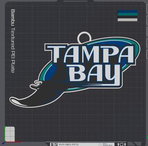 Tampa Bay Devil Rays Retro Oversized Necklace Logo   