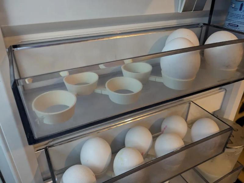 Expendable Egg holder   