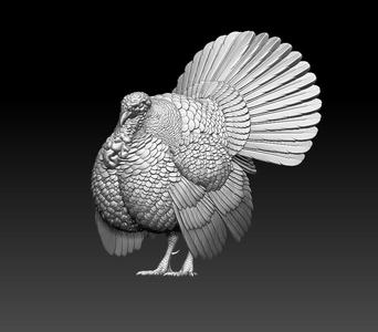 turkey