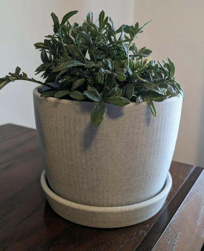 Simple planter   