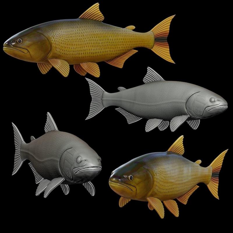 fish golden dorado / Salminus brasiliensis fish model for 3D printing
