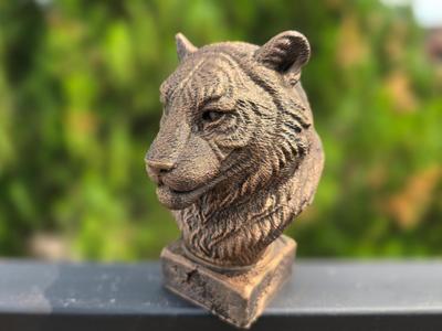 TIGER BUST