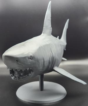 Megalodon
