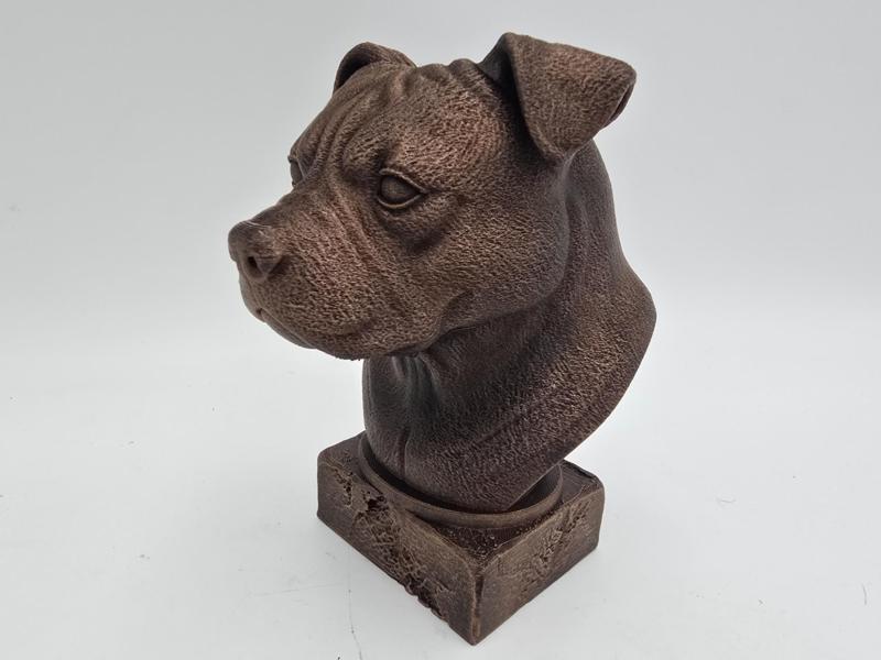 AMERICAN BULLY NATURAL EARS BUST