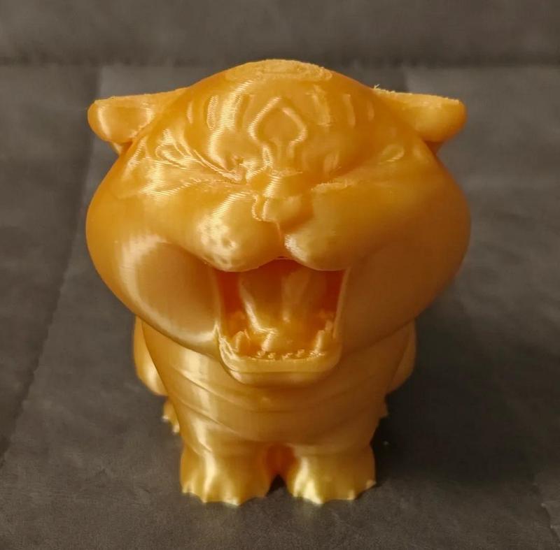 Adorable little tiger