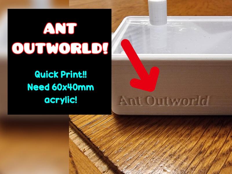 Ant Outworld