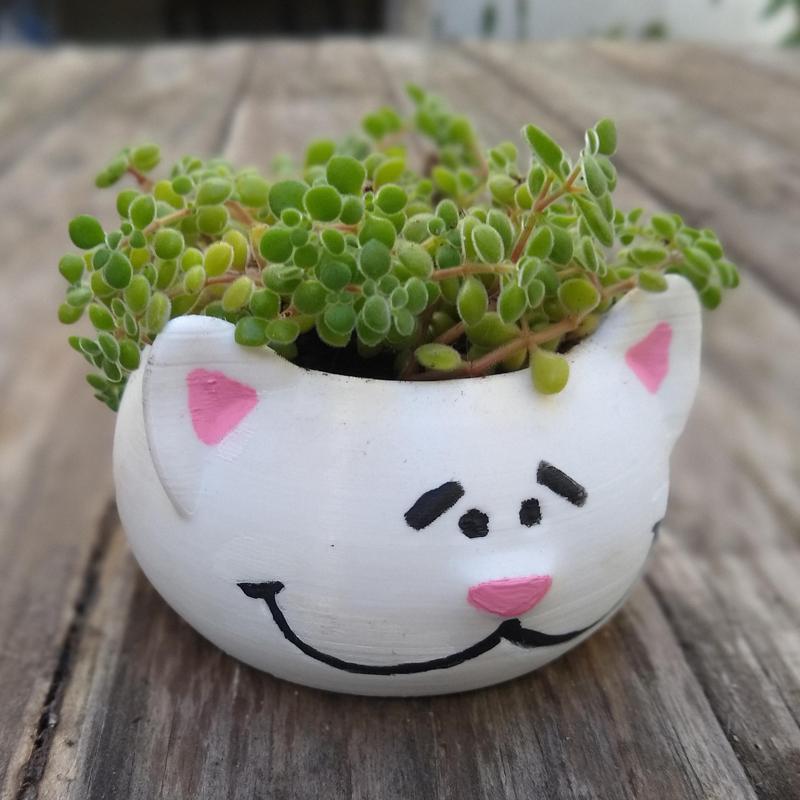 Cat planter