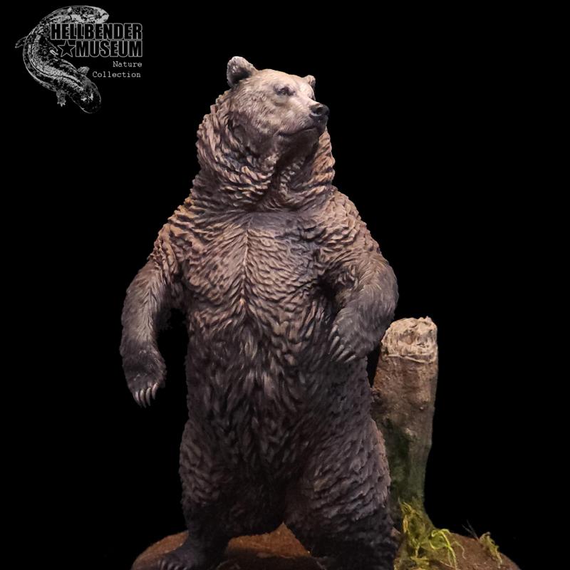 Grizzly Bear and Scenic Base Presupported