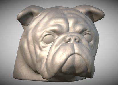 Puppy of English Bulldog dog head for 3D printing