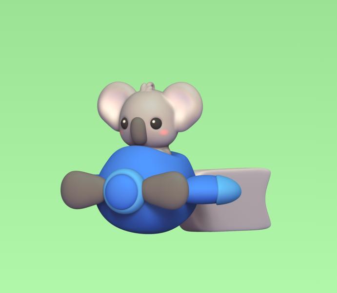 Koala Airplane