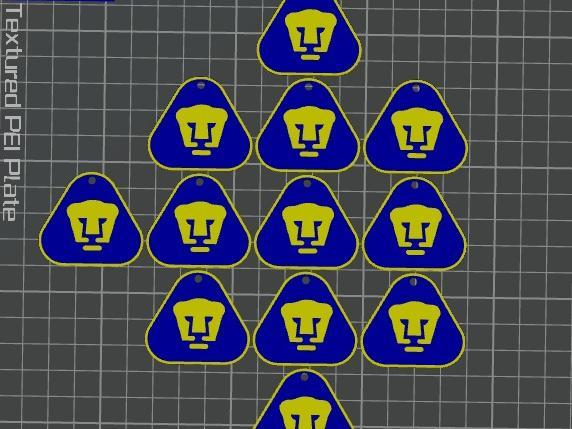 Multicolor Puma Keychain 