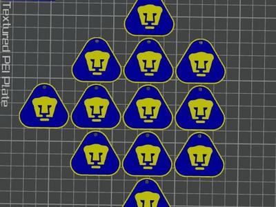 Multicolor Puma Keychain 