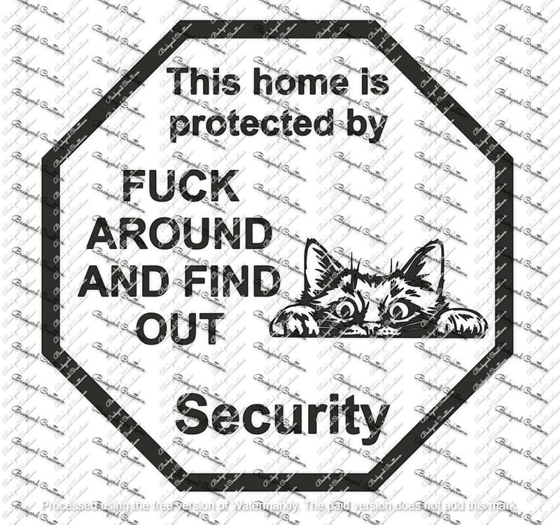 CAT PEEKING FAFO FUCK AROUND AND FIND OUT SIGN DECOR SECURITY SIGN