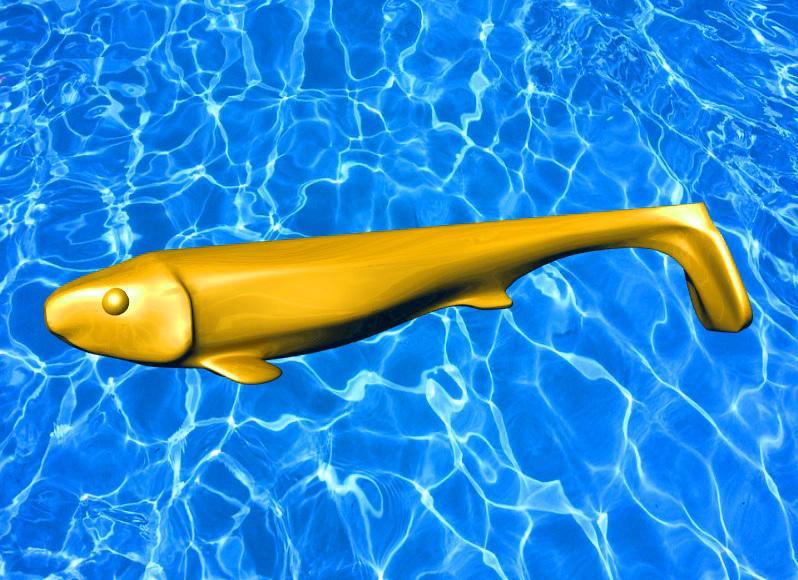 Fishing Soft Bait - Master