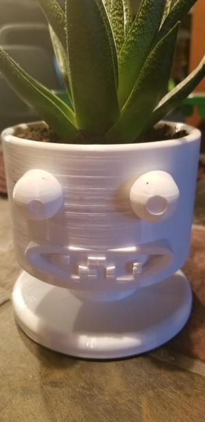 Goofy Face Planter