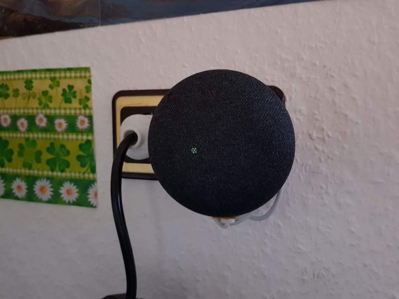 Google Home Mini plug mount