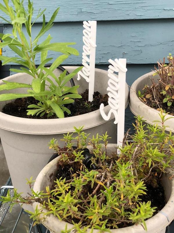 Herb Stakes