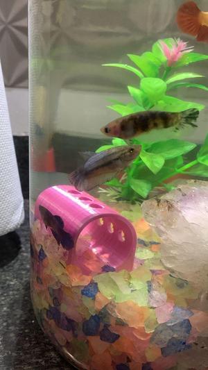 Pipe Ornament for fish tank