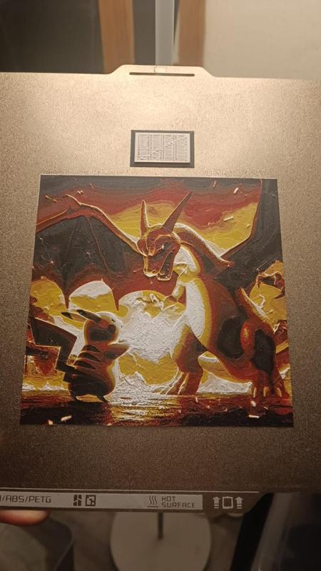 HUEFORGE POKEMON Pikachu & Charizard
