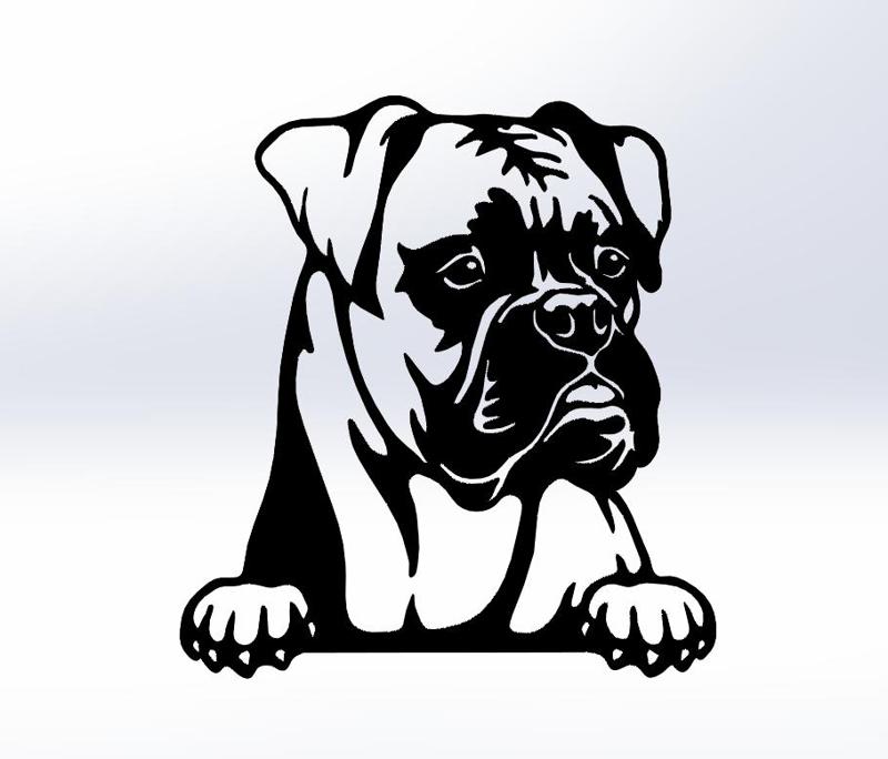 Boxer Dog  - Wall Art