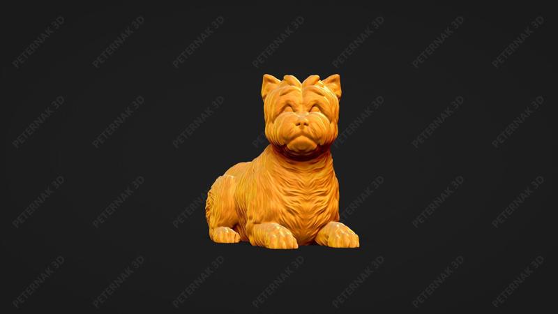 Cairn Terrier Dog 3D Print Model Pose 09