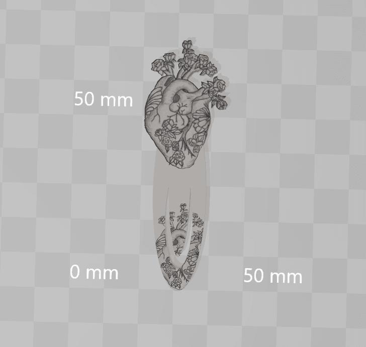 ANATOMICAL HEART MARKBOOK