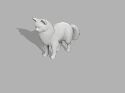 Standing Cat