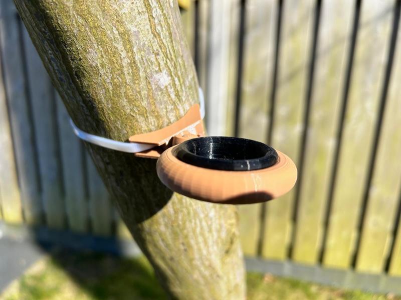 Exo terra feeding ring for small exo terra cup