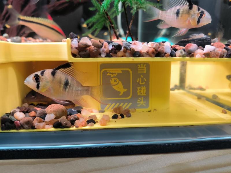 Hideaway - Circular Corridor