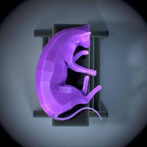 Halloween low poly Cat