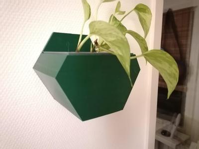 Hexagonal Wall Plant Pot