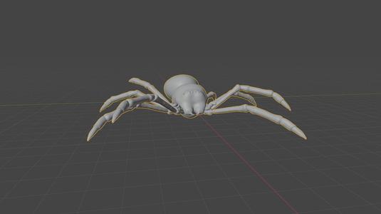 Spider
