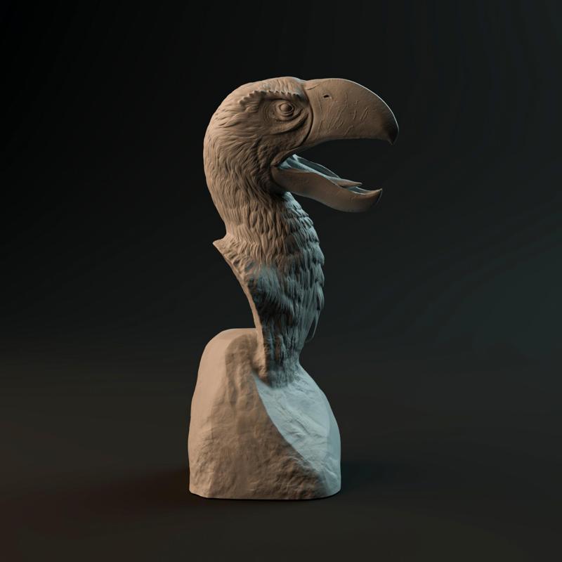 Brontornis bust - pre-supported prehistoric bird head