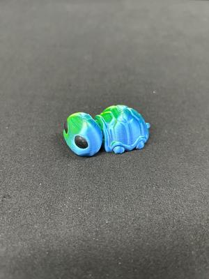 Small Turtle