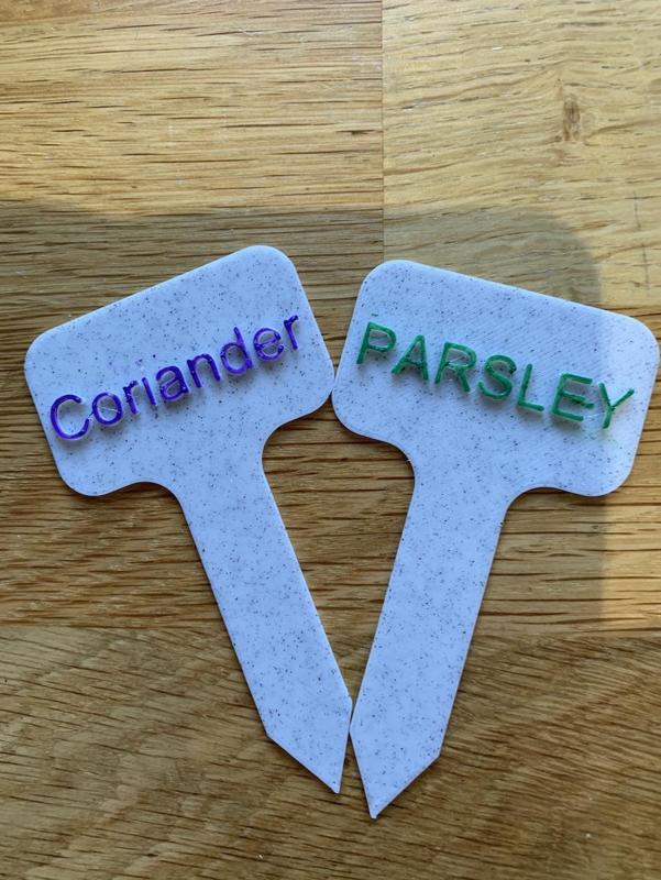 Parsley and Coriander