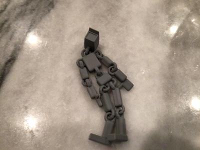 Ted ragdoll with camera head