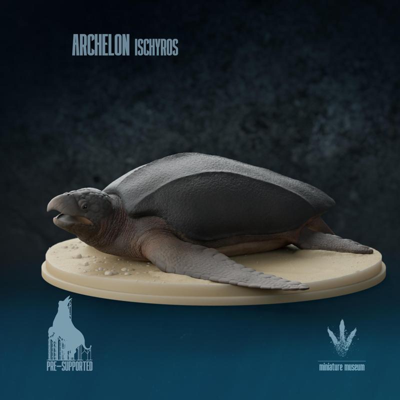 Archelon ischyros : On the Beach