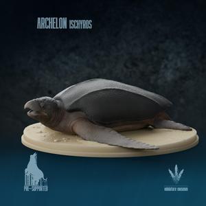 Archelon ischyros : On the Beach