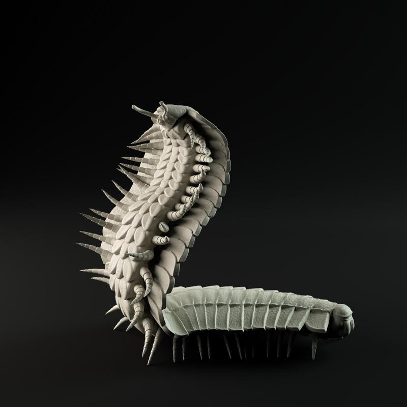 Arthropleura rear up 1-20 scale pre-supported prehistoric animal