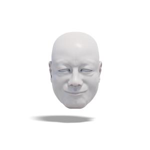 Smiling Gentleman, 3D Model of Head