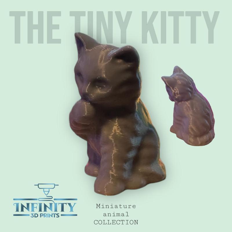 THE TINY KITTY 