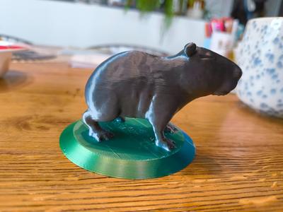 capybara