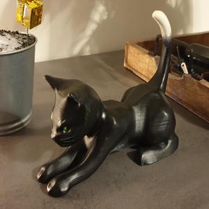 Chat étiré /  Stretched cat