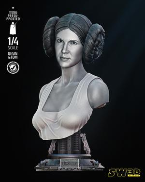 LEIA NEW HOPE BUST PORTRAIT - TESTED AND READY FOR 3D PRINTING