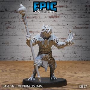 Rakshasa Sorcerer ‧ DnD Miniature ‧ Tabletop Miniatures ‧ Gaming Monster ‧ 3D Model ‧ RPG ‧ DnDminis ‧ STL FILE