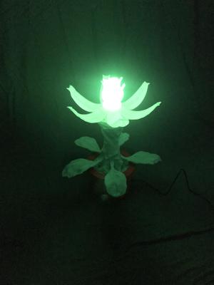 Alien Flower