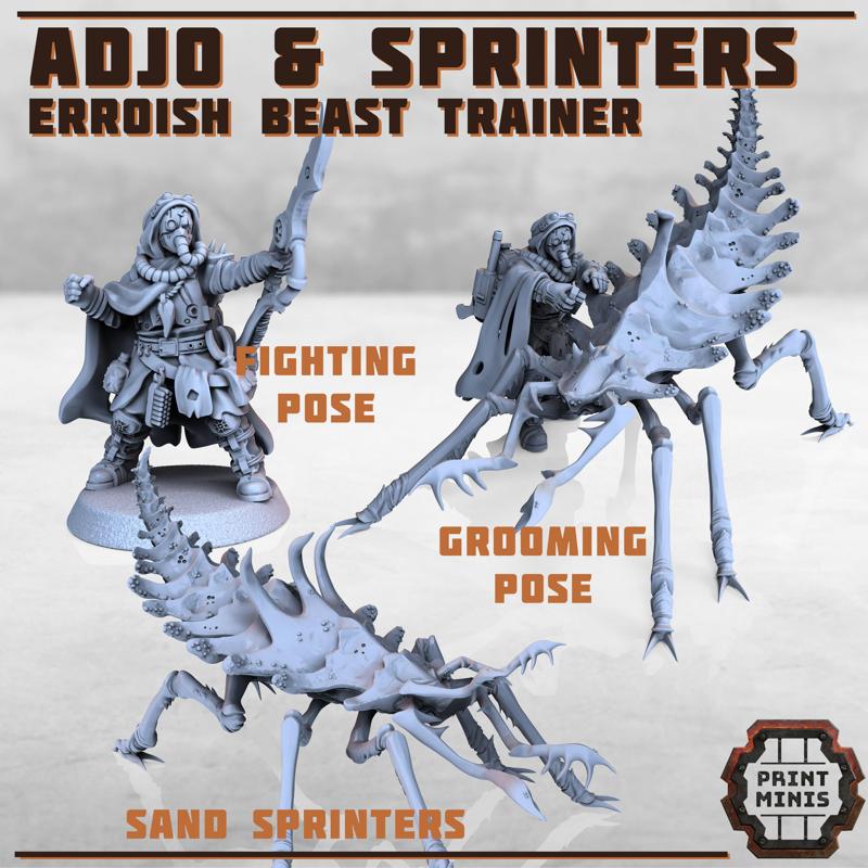 Erroish Beast Trainer and Sand Sprinters