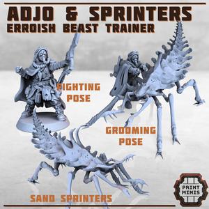 Erroish Beast Trainer and Sand Sprinters