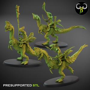 Nova Rider Bow Leader Set